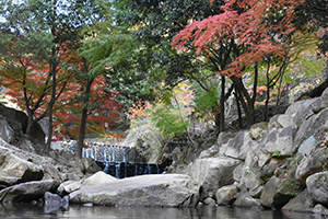 水分峡森林公園01