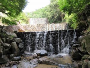 大堰堤を望む