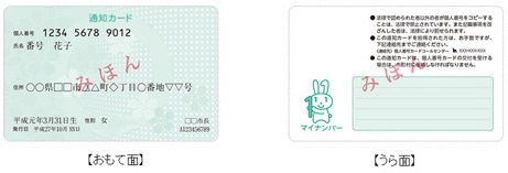 通知カード見本