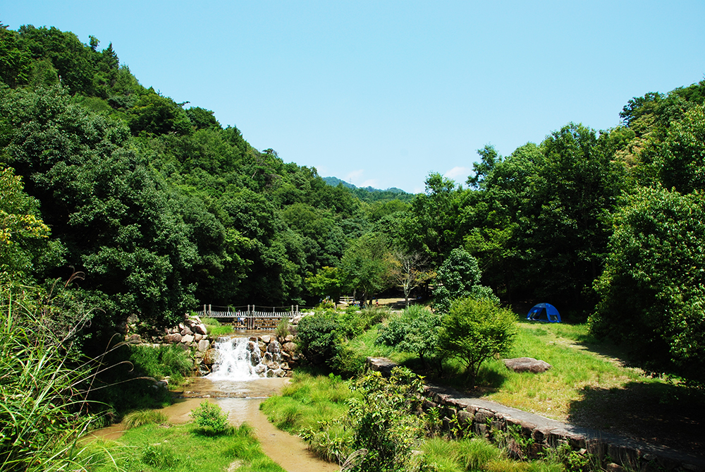 みくまり峡森林公園
