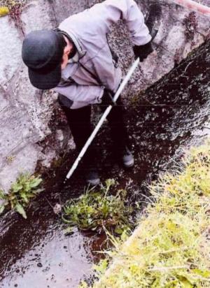 活動写真