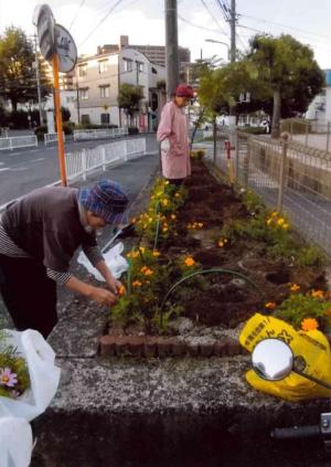 活動写真