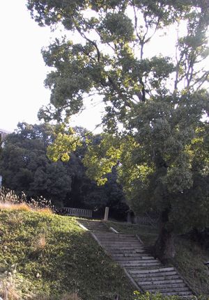 松崎八幡跡