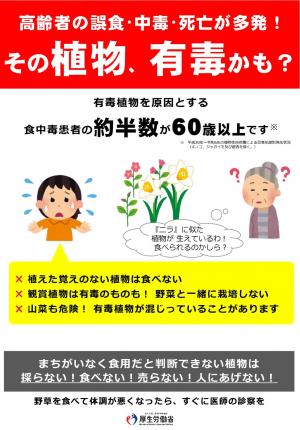 有毒植物による食中毒予防について2-1
