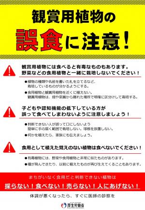 有毒植物による食中毒予防について3-1