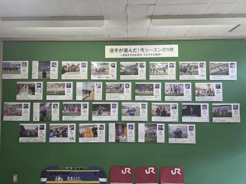 展示の様子