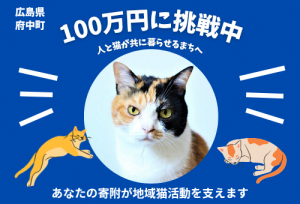 飼い主のいない猫(野良猫)を減らしたい