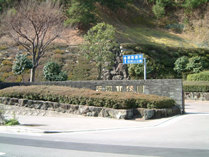 空城山公園 写真