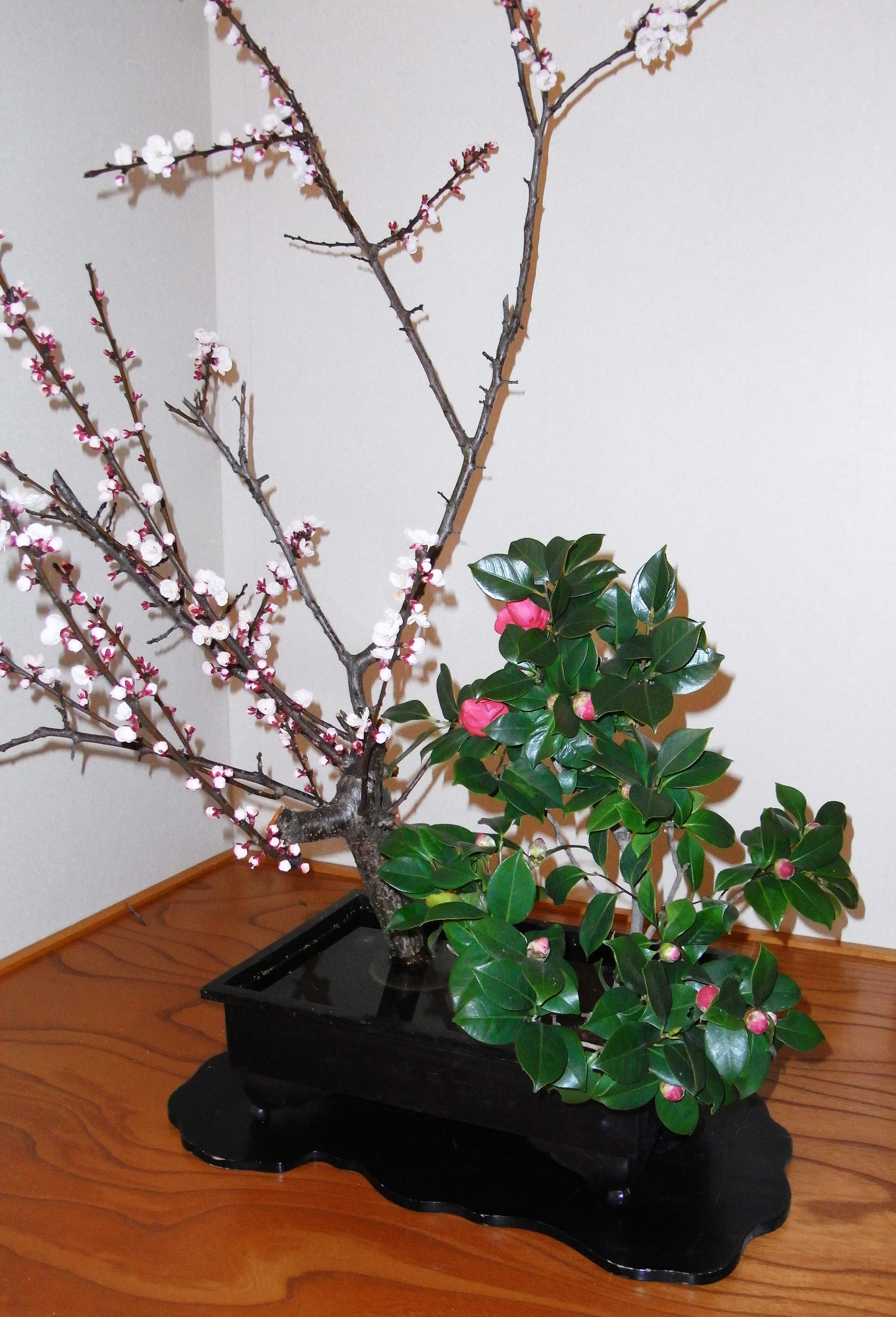 生花の写真