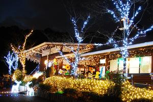 みくまり峡管理棟のイルミネーションの写真2