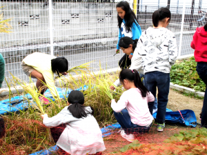 キッズ環境調査（府中小学校）の写真