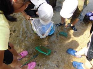 キッズ環境調査（府中小学校）の写真