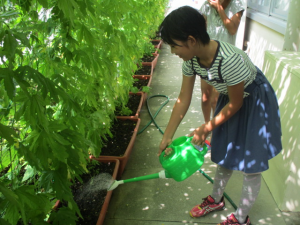 キッズ環境調査（府中南小学校）の写真