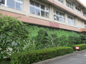 キッズ環境調査（府中南小学校）の写真