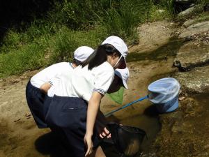 キッズ環境調査（府中小学校）の写真