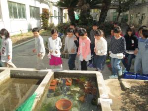 キッズ環境調査（府中東小学校）の写真