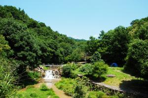 水分峡森林公園の写真