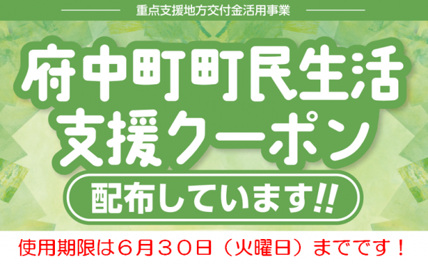 クーポン配布しています